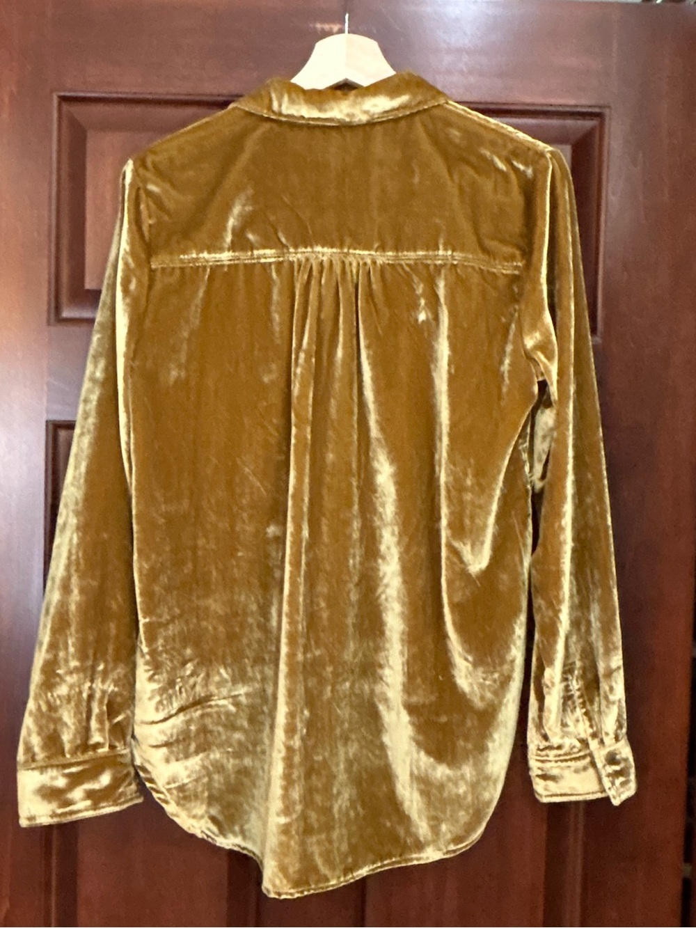 NWT Women’s Pilcro by Anthropologie Crushed Velvet Button Front Shirt Blouse S - Picture 8 of 8